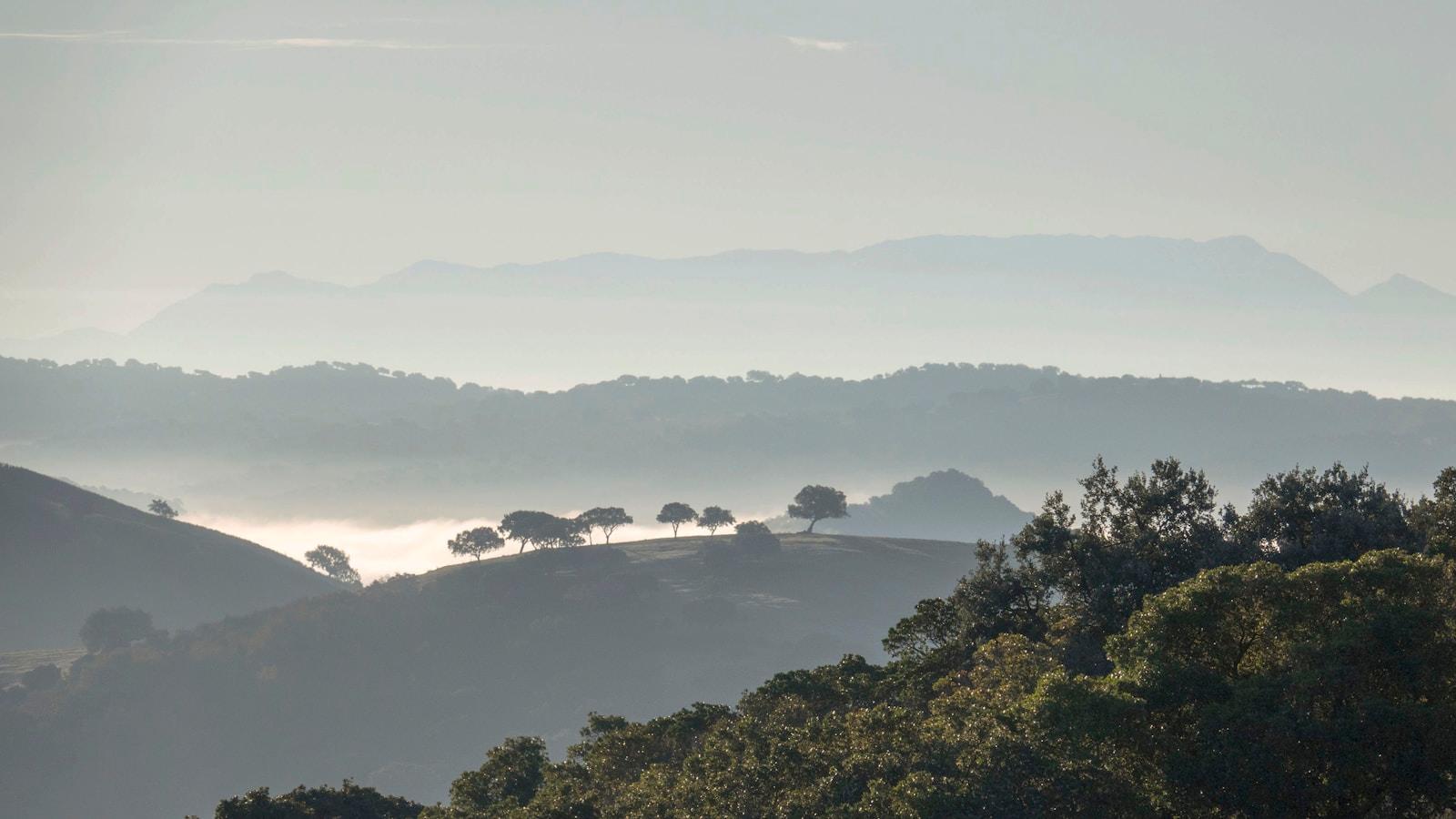 Colinas com névoa e carvalhos na serra andaluza, ao amanhecer