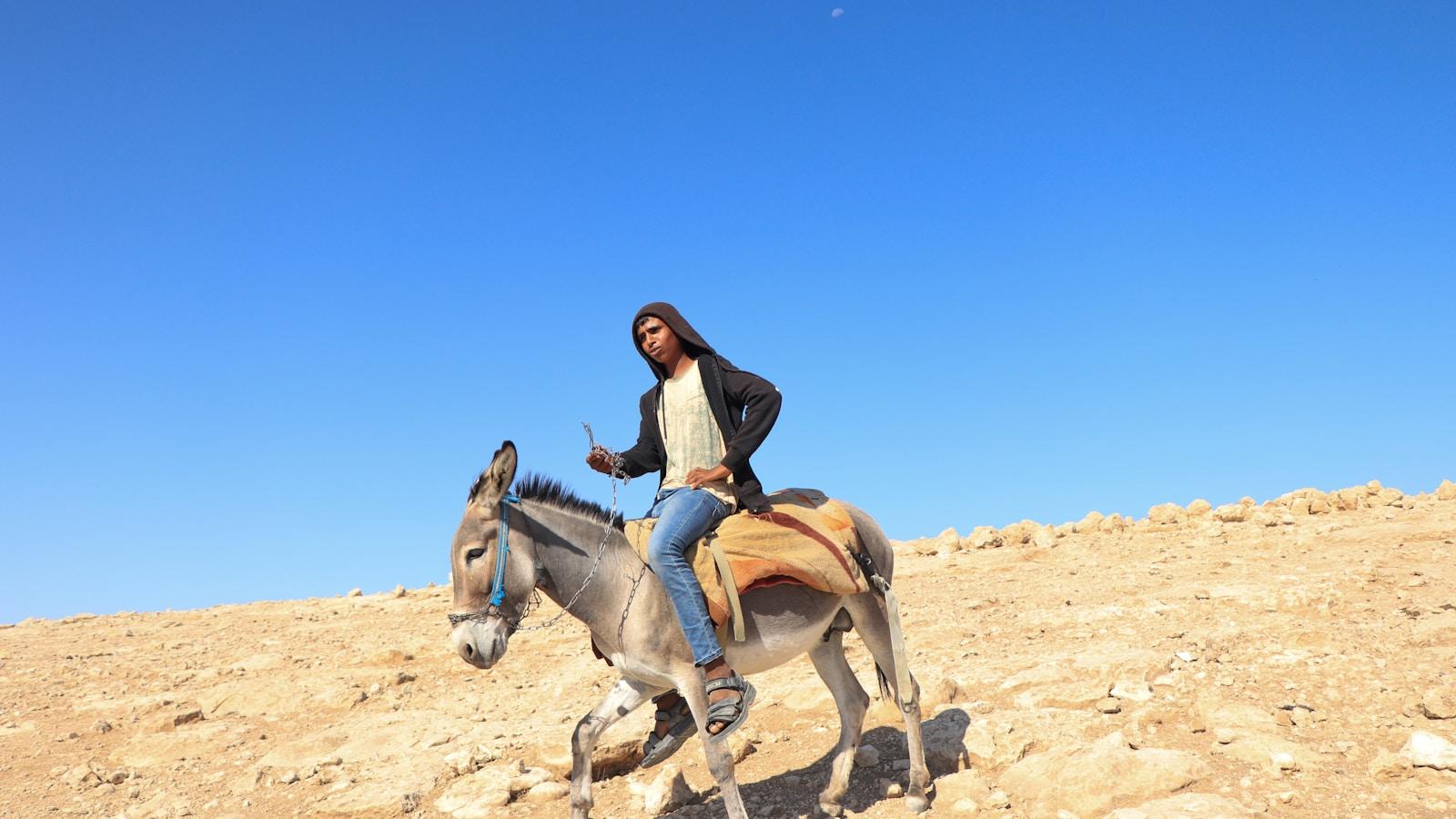 Homem montado num jumento subindo uma encosta pedregosa no deserto, sob céu azul