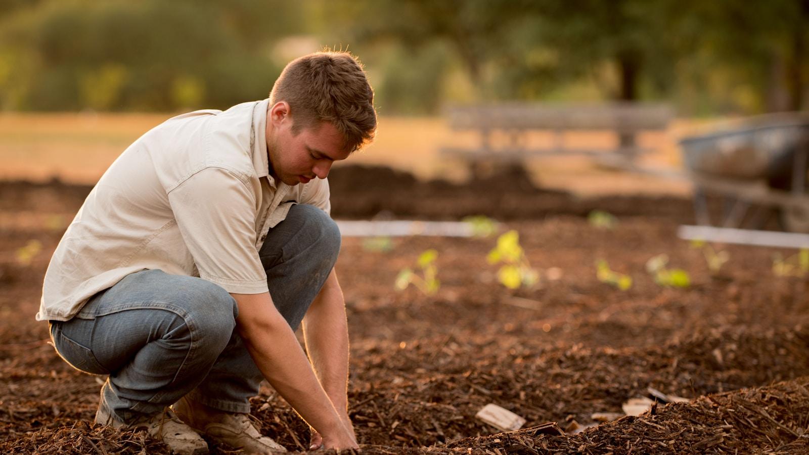 Homem agachado plantando mudas na terra de uma horta