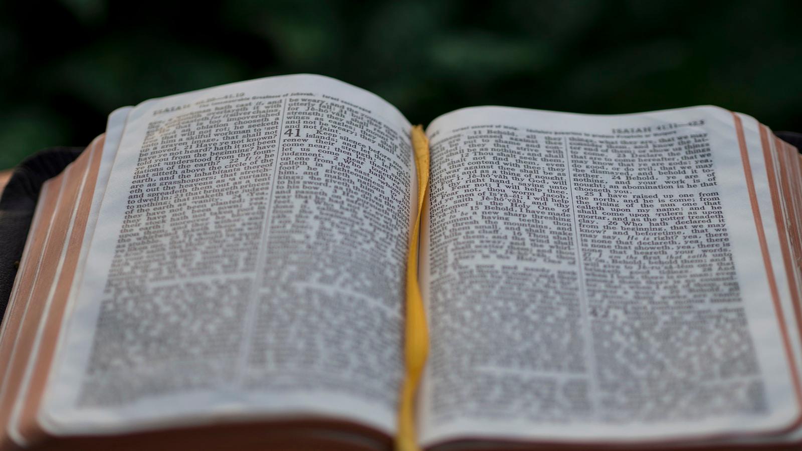 Bíblia aberta ao ar livre, com folhagem verde desfocada ao fundo