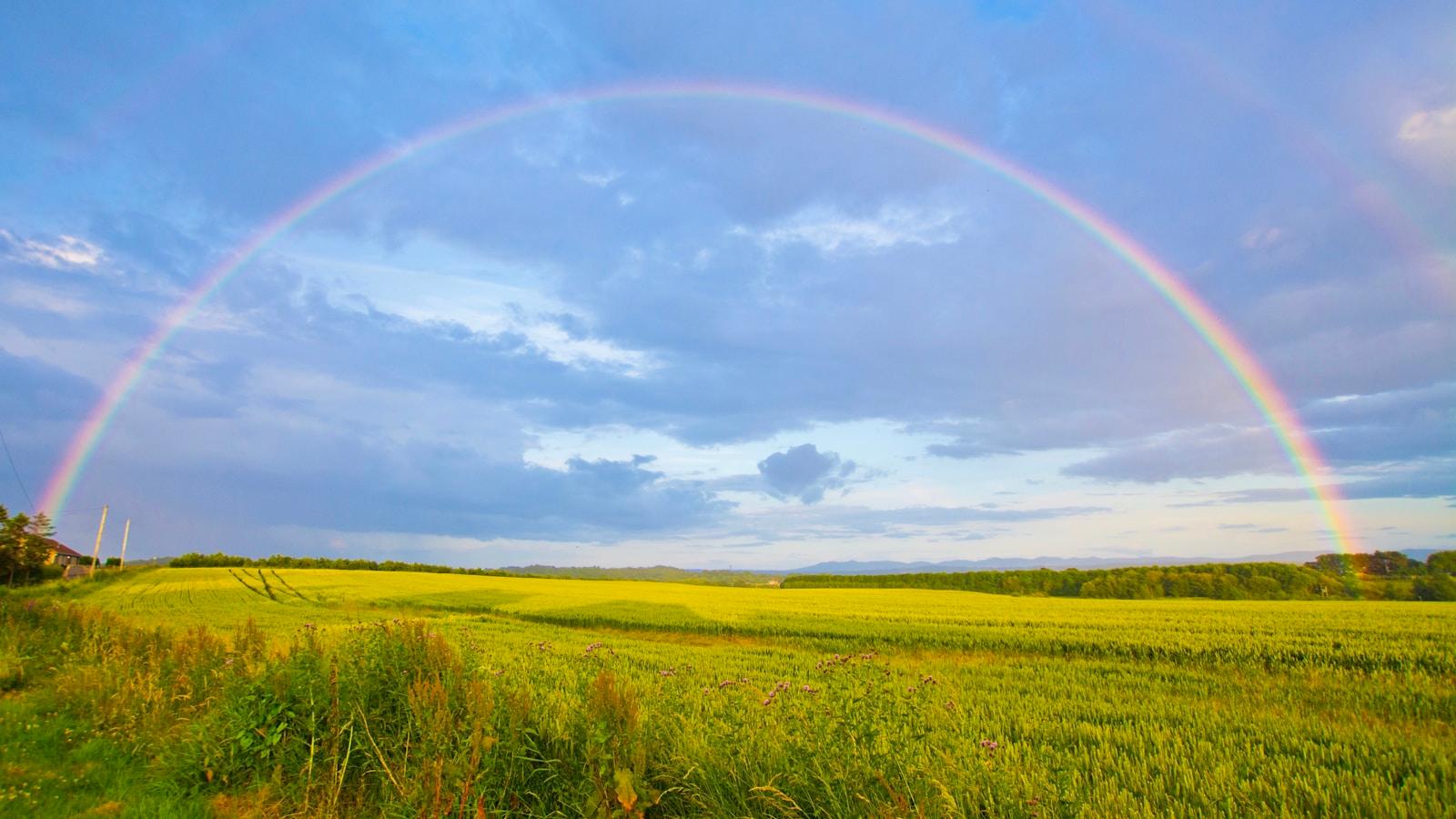 Arco-íris completo sobre um campo verde, sob céu de nuvens