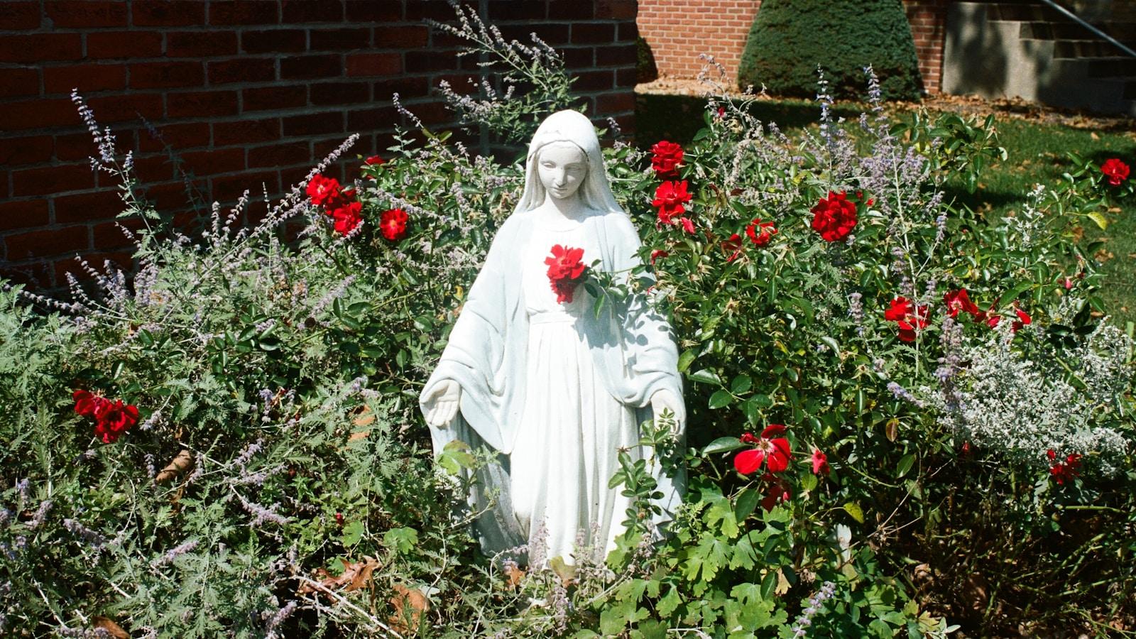 Estátua branca de Nossa Senhora segurando uma rosa vermelha, entre flores vermelhas e lavanda