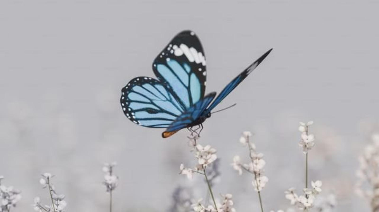 A utilidade da esperança: como esta virtude transforma nossa vida espiritual