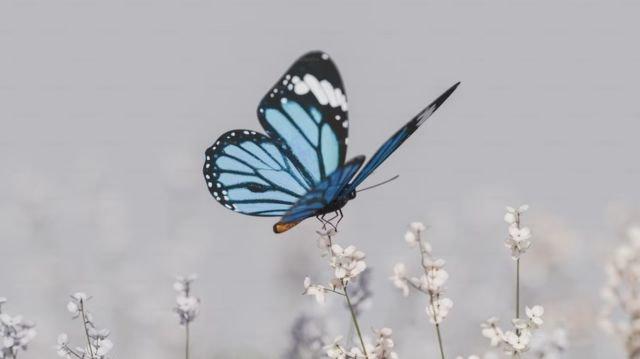 A utilidade da esperança: como esta virtude transforma nossa vida espiritual