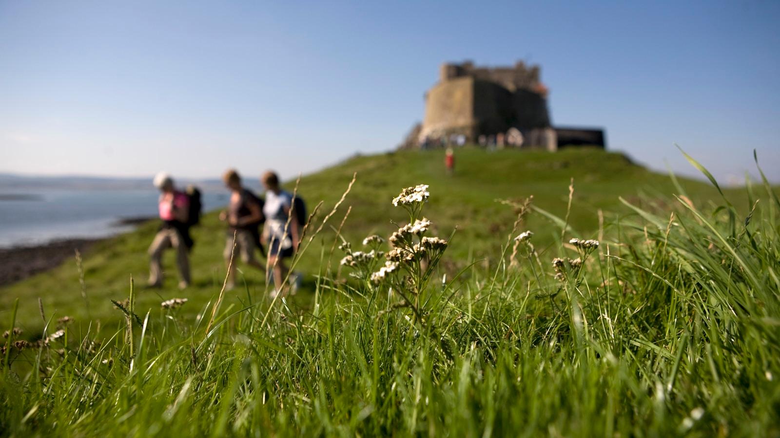 Castelo de Lindisfarne ao fundo, com caminhantes e flores silvestres num prado