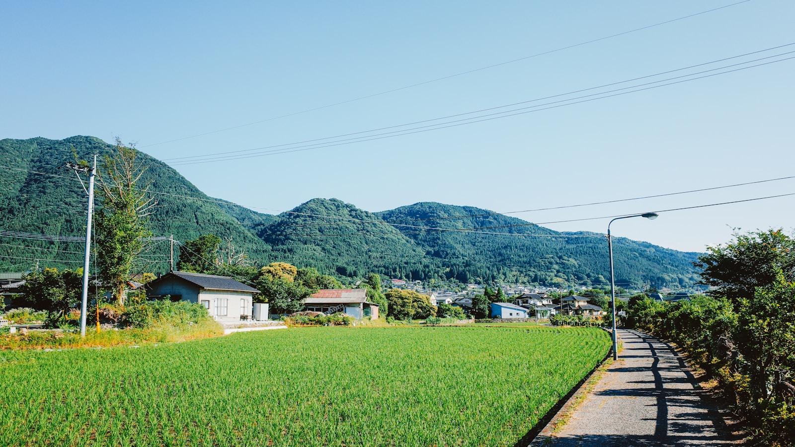 Campo de arroz verde com casas e montanhas ao fundo, no interior do Japão