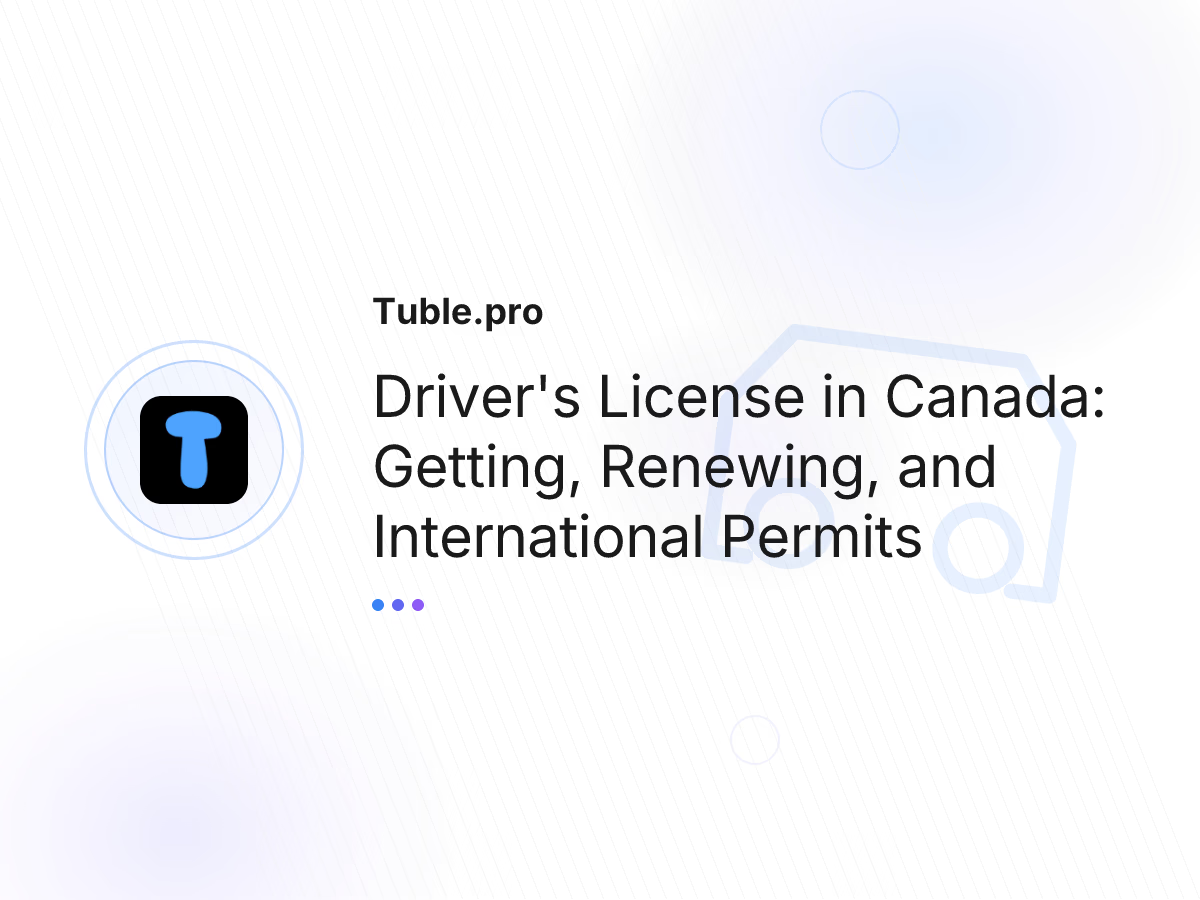 Driver's License in Canada: Getting, Renewing, and International Permits