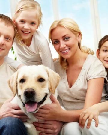 Comprehensive Family Dental Care in Oakville Today