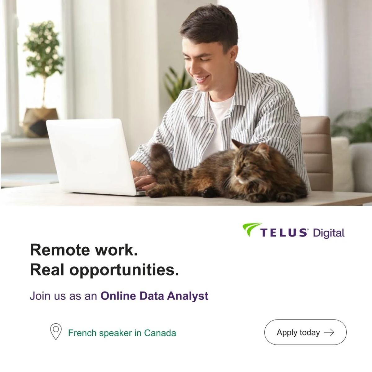 Online Data Analyst Canada (French Language) | IT, computers, communications | Vancouver | Ad gallery (SEO) | 1