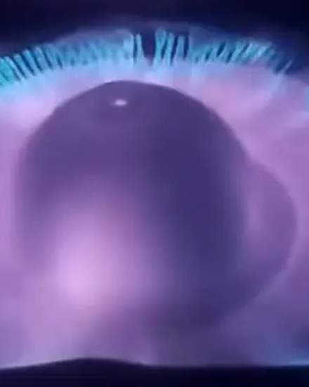 Waste oil pyrolytic burner with blue flame and environmentally friendly | Other goods for home and garden | Toronto | 3