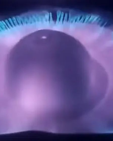 Waste oil pyrolytic burner with blue flame and environmentally friendly | Other goods for home and garden | Toronto | 3