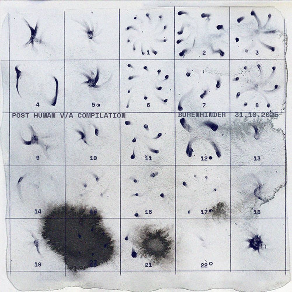 POST HUMAN V/A (for palestine)