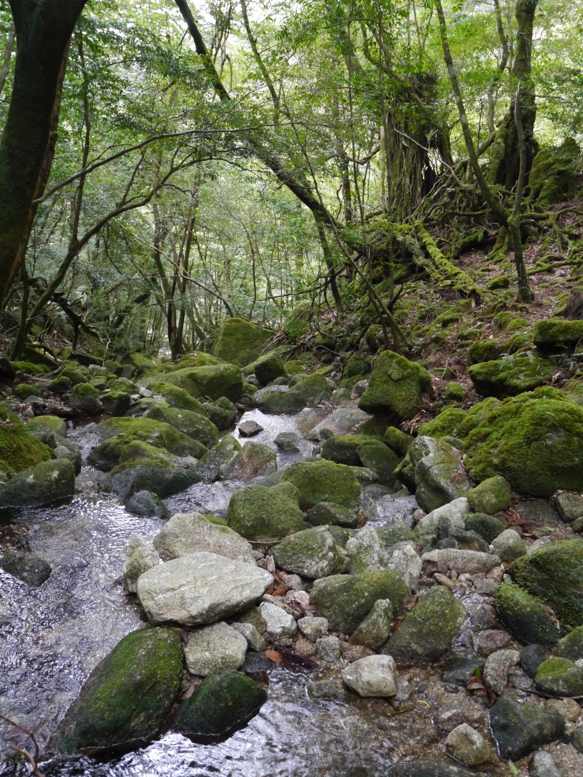 Travel and Street photography