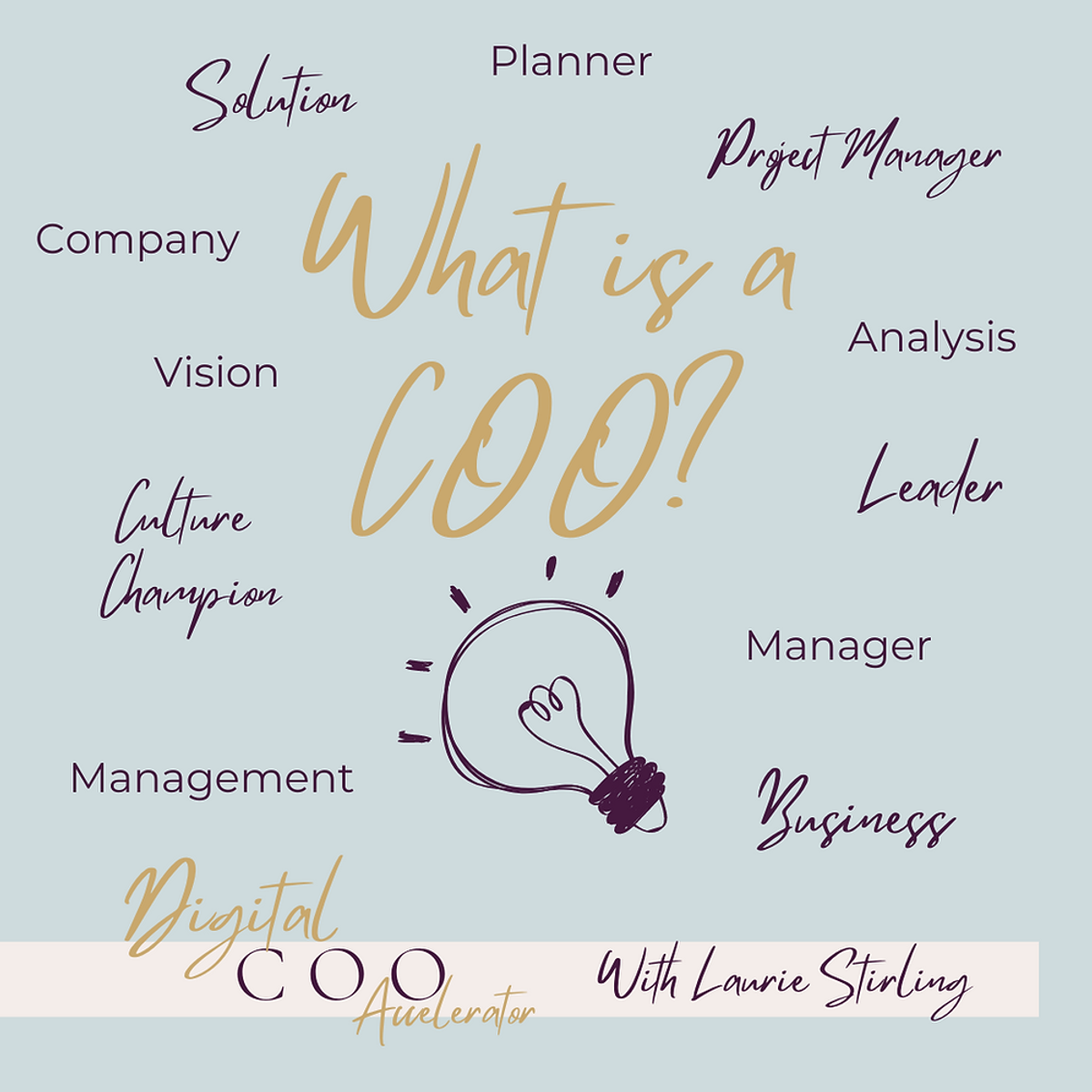 What is the difference between a COO and an OBM?