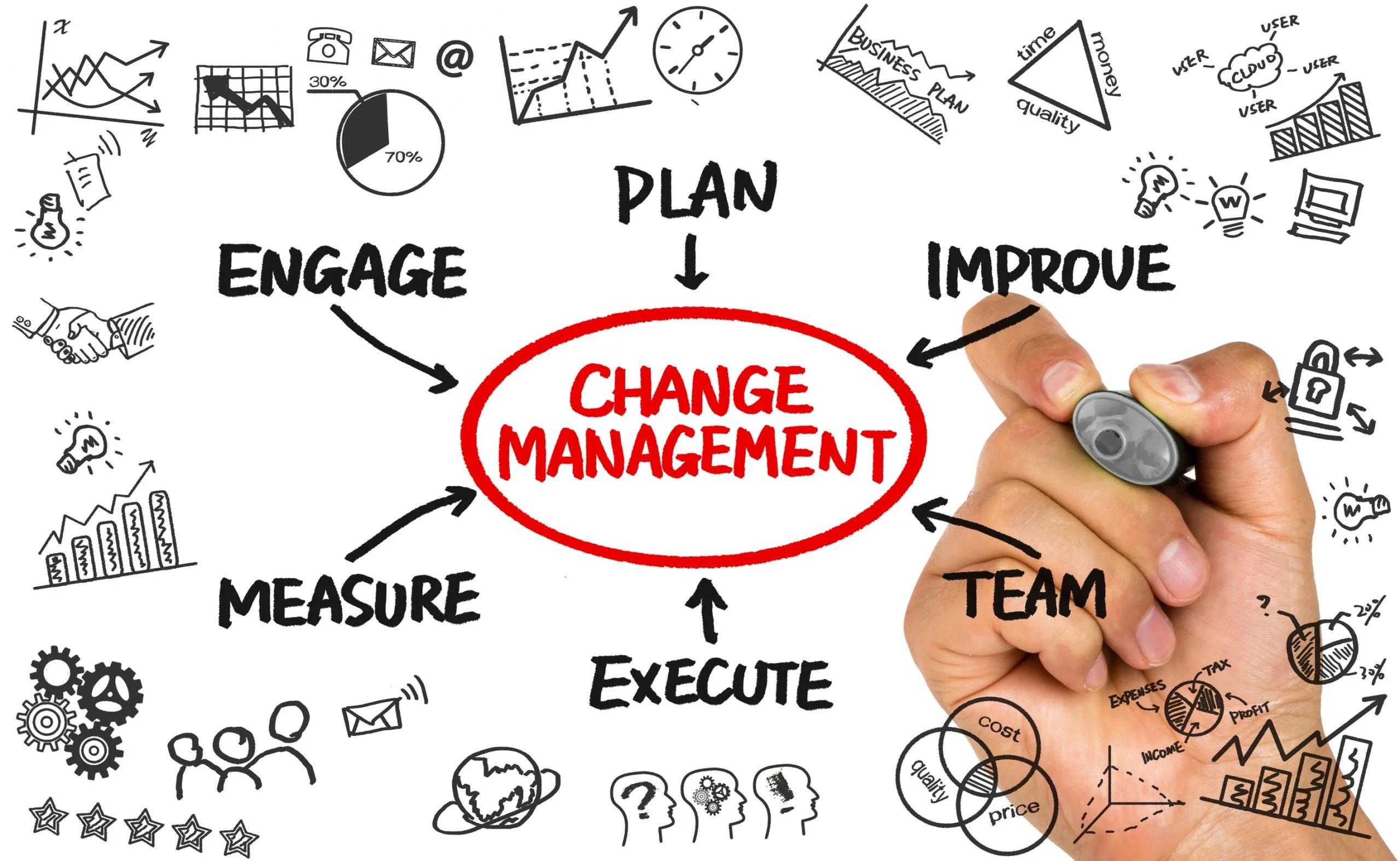 Navigating the Digital Shift: Why Change Management is Key to Supply Chain & Sales Transformation