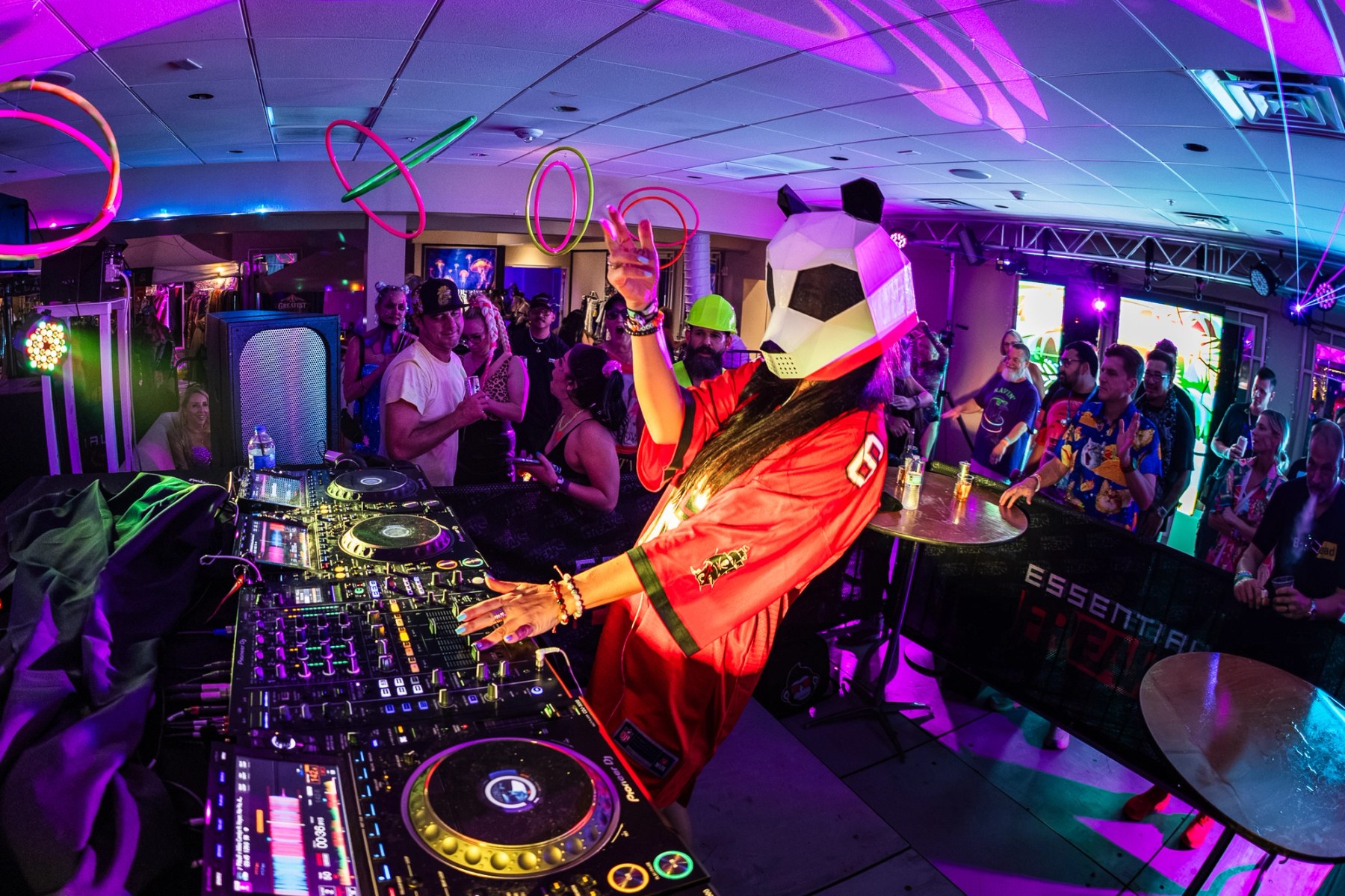 Pink Panda — Essential Freaks Season 5