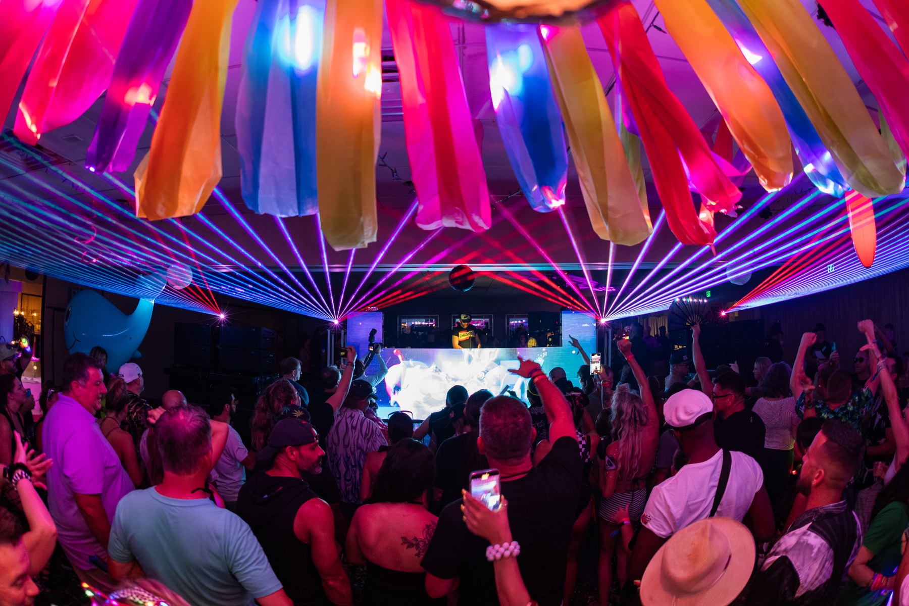 Essential Freaks Season 4 festival photography