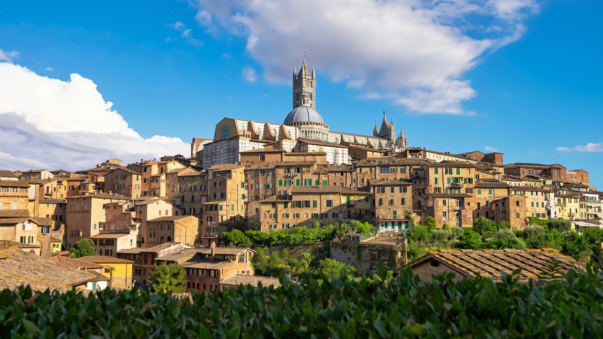 Postcard from Siena, Tuscany