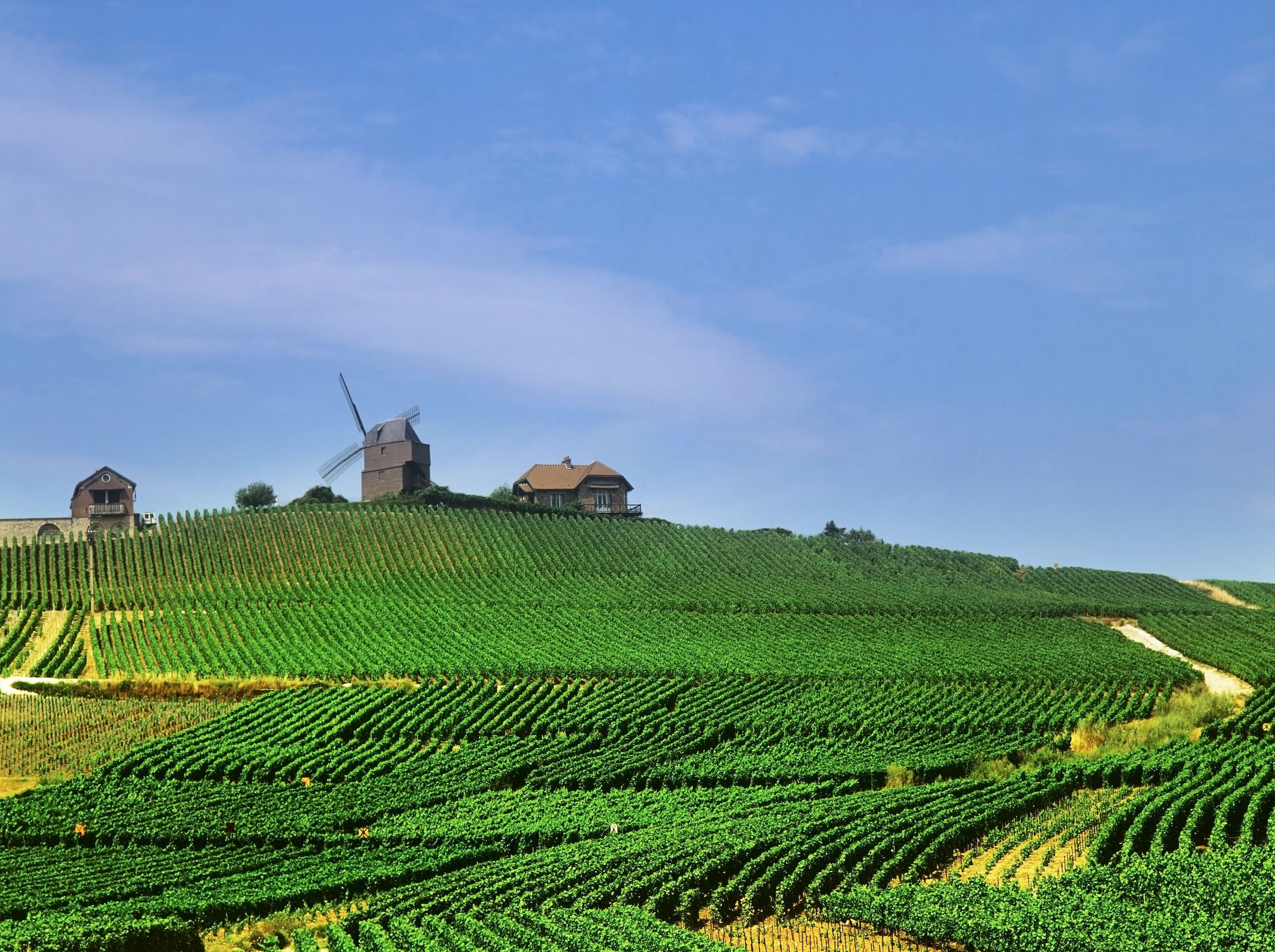 Idyllisk lite møllehus på en åstopp i Champagne-området omkranset med vinmarker