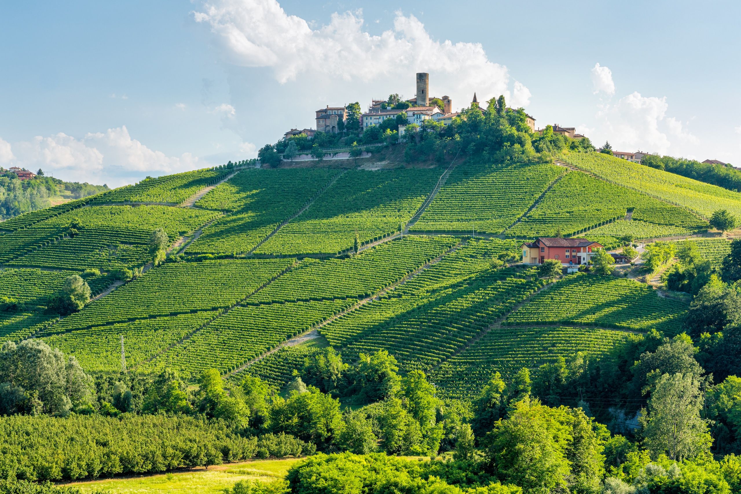 En vakker landsby i Piemonte på en bakketopp omgitt av velstelte vinmarker som strekker seg nedover de frodige åsene. Et historisk tårn og små hus skaper et autentisk, pittoresk landskap.