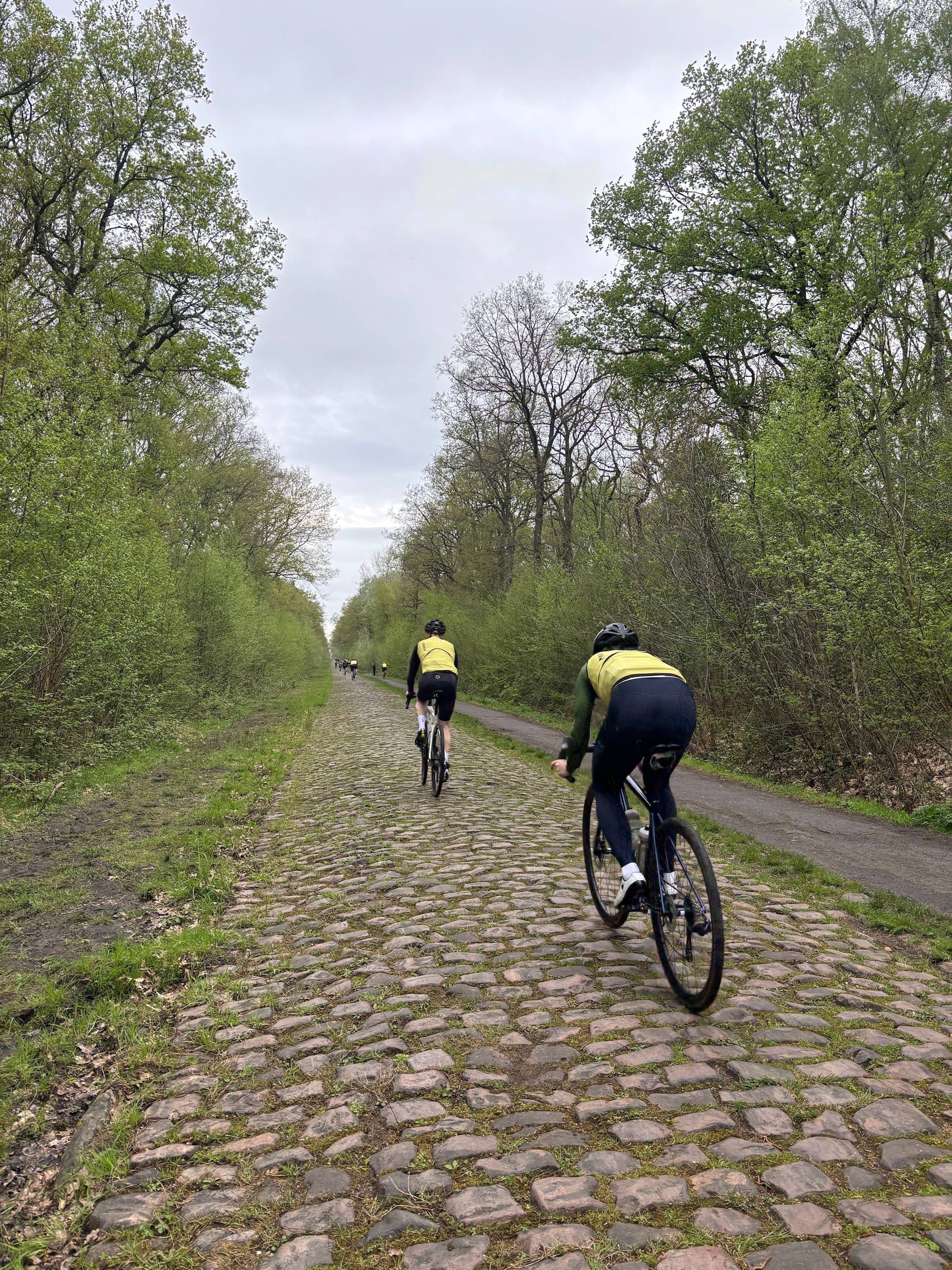 Flere syklister som forserer den kjente Arenberg-skogen på sykkel