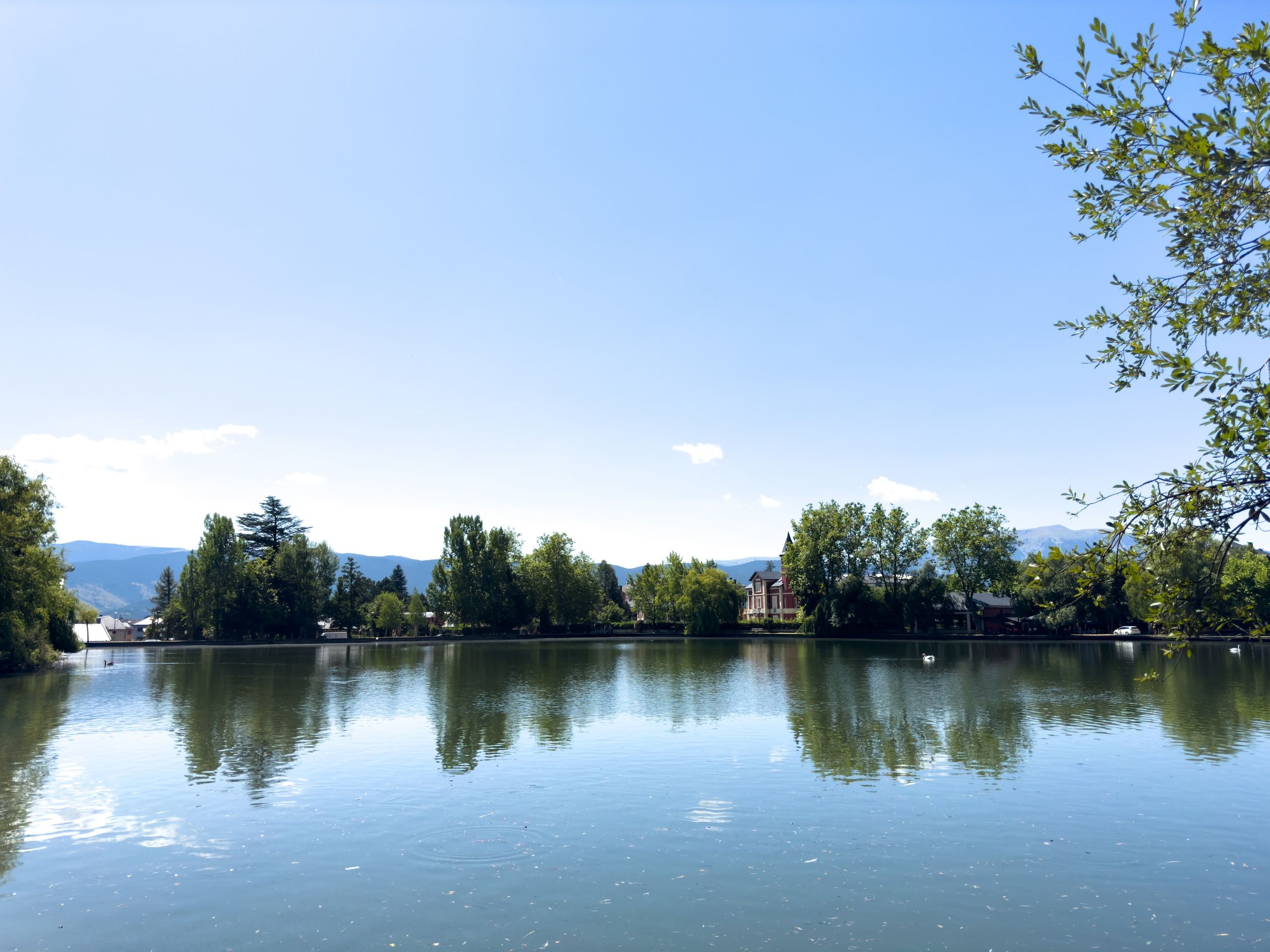 En vakker liten innsjø i Puigcerdà, Spania. Stillevann omkranset av frodige trær.