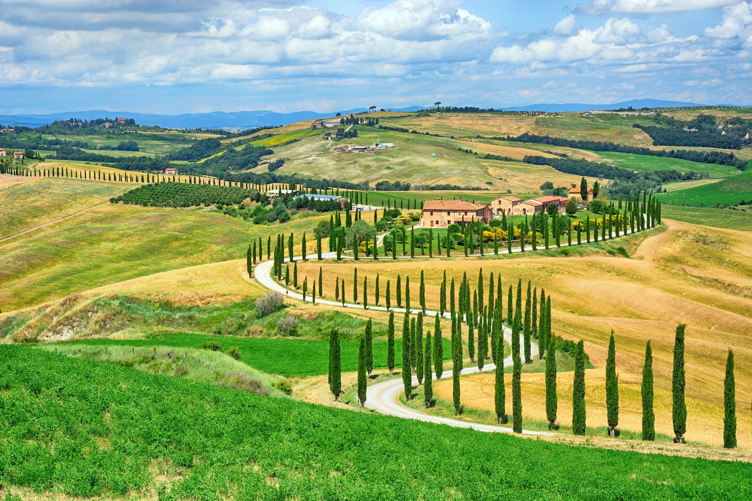 En ikonisk svingete vei flankert av sypresser, som fører til en historisk villa i Toscana