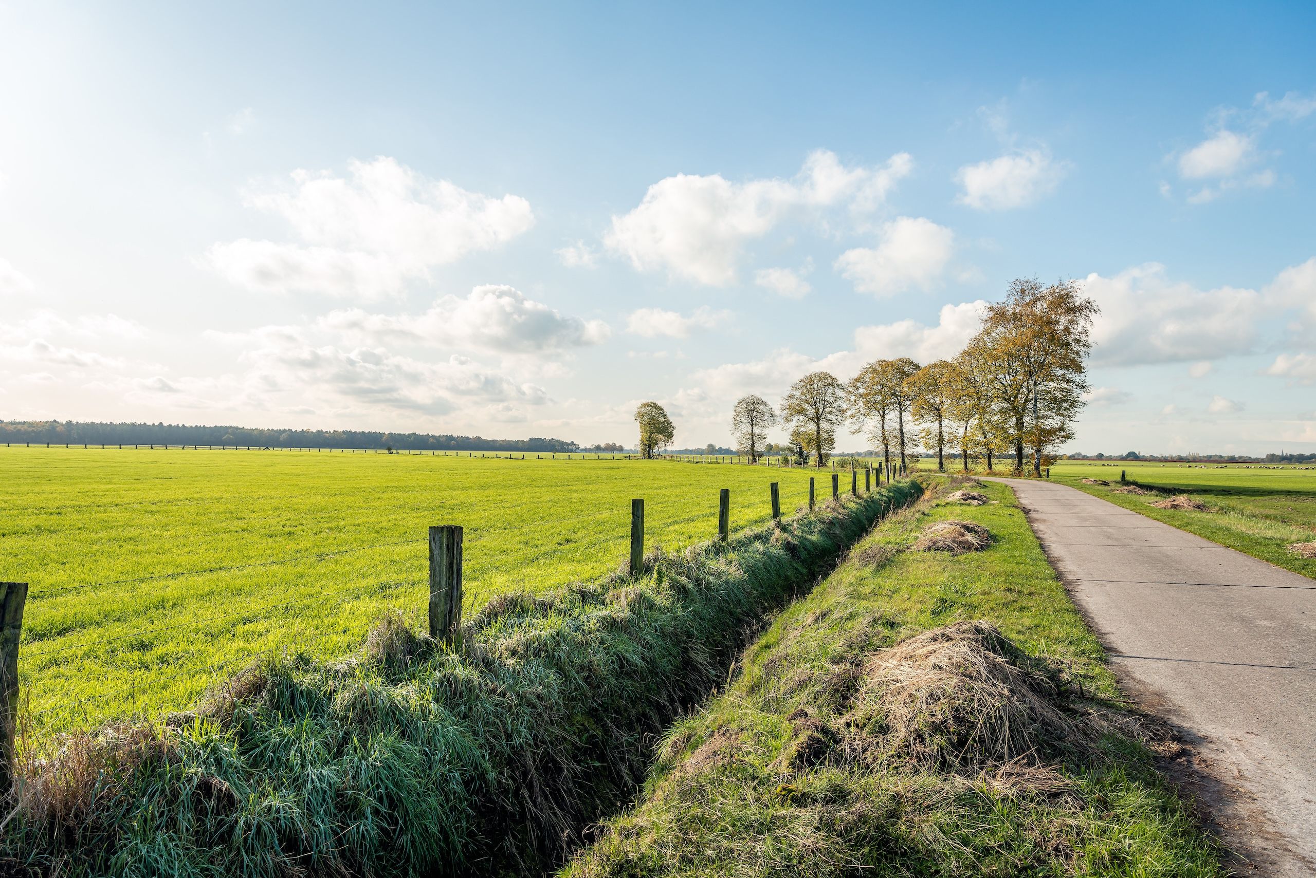 En idyllisk landevei fra Belgia