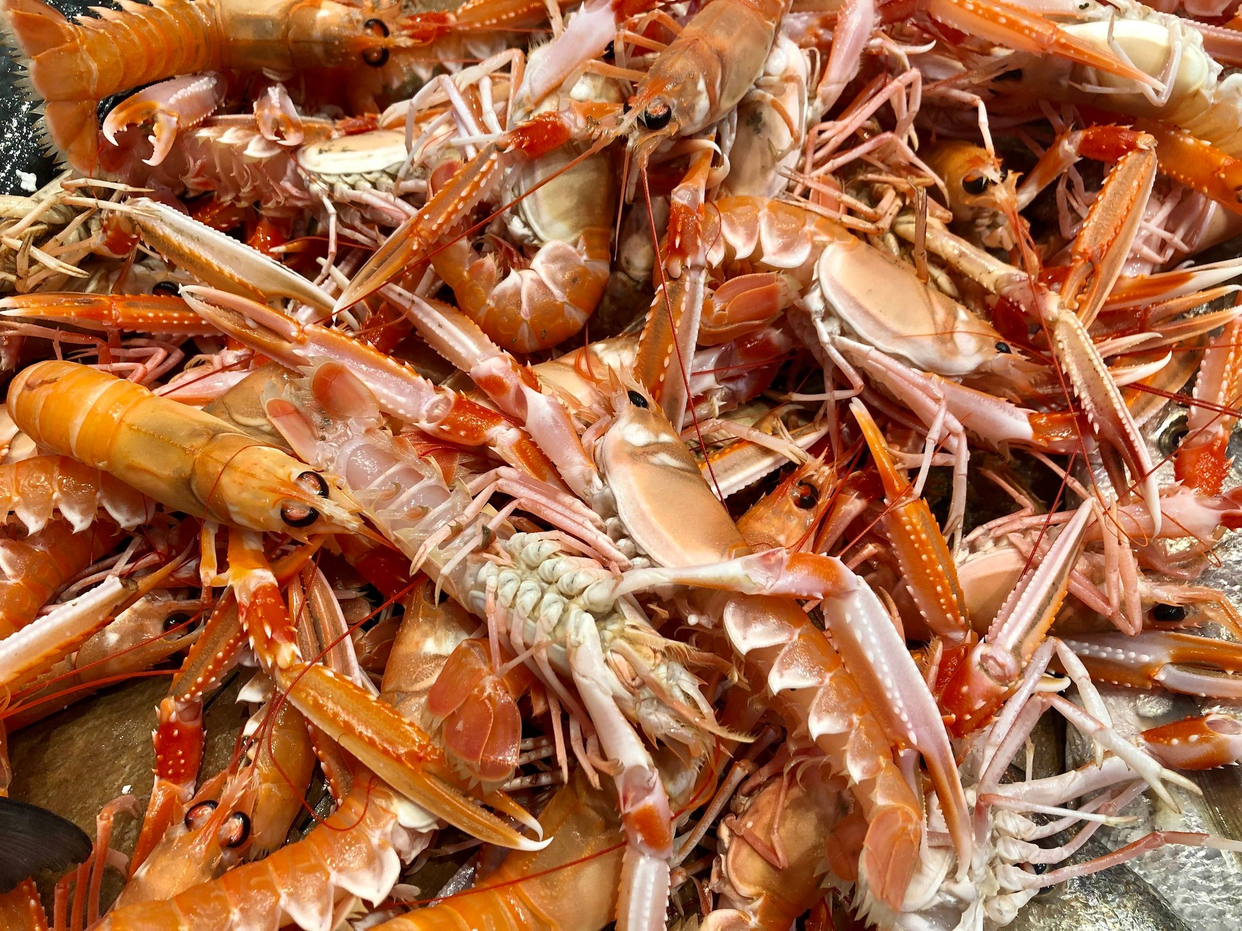 Sjømat fra La Rochelle