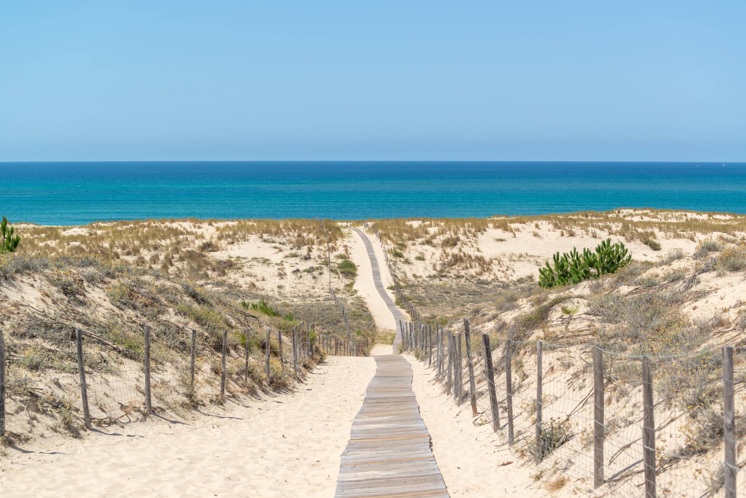 Langstrakt sti strekker seg ned mot stranden. En idyllisk finkornet strand med utsikt utover horisonten og det endeløse blåhavet.