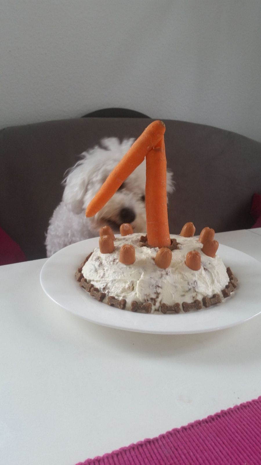 Hunde-Geburtstagsparty 21