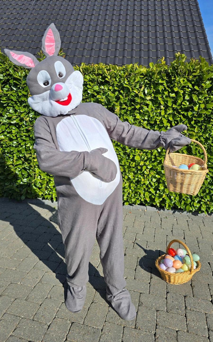 Maskottchen & Kostüme 30