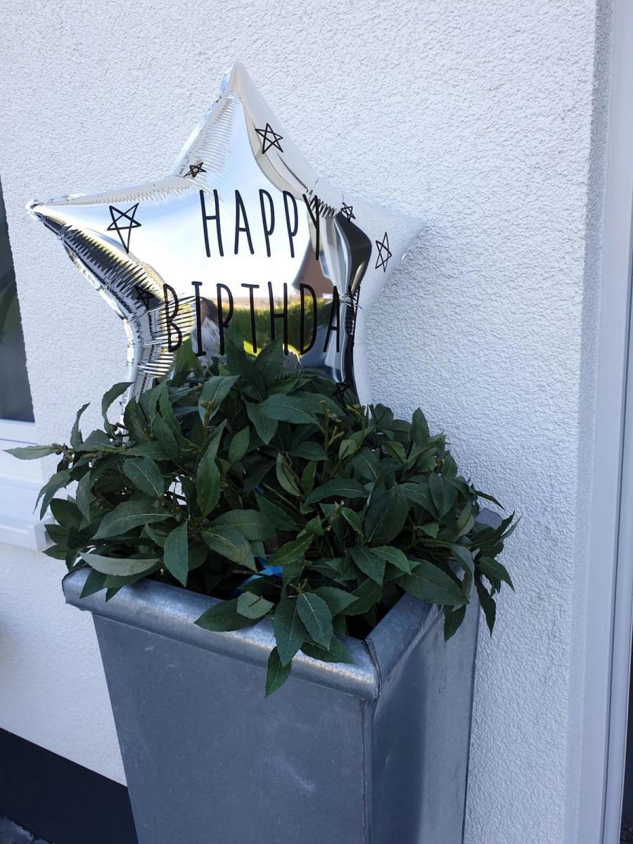 Hunde-Geburtstagsparty 11