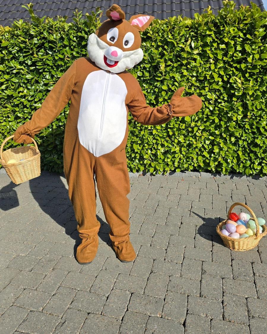 Maskottchen & Kostüme 33