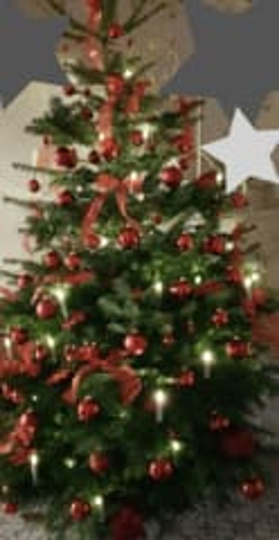 Advent und Weihnachtsdekorationen  8