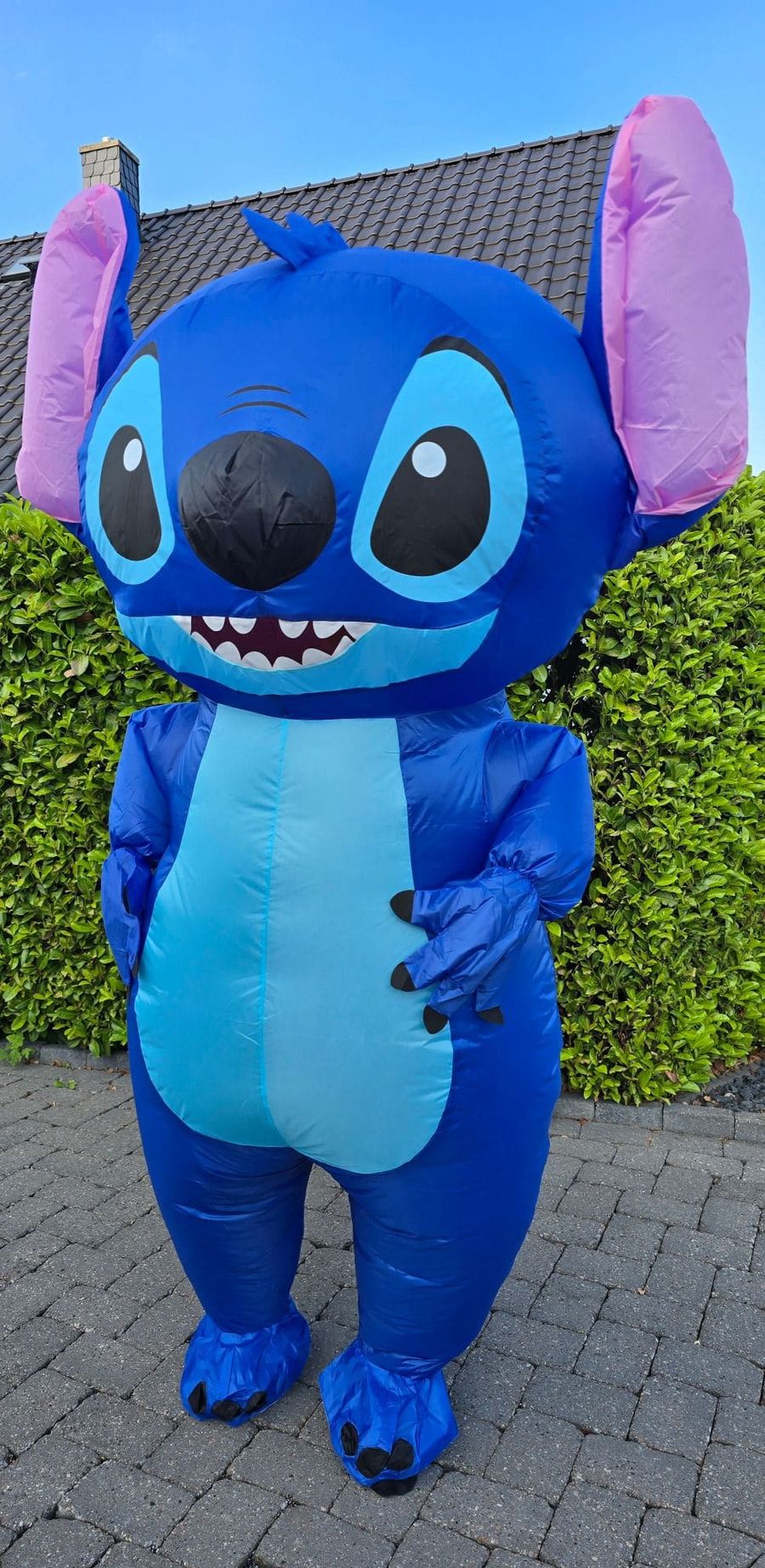 Maskottchen & Kostüme 3