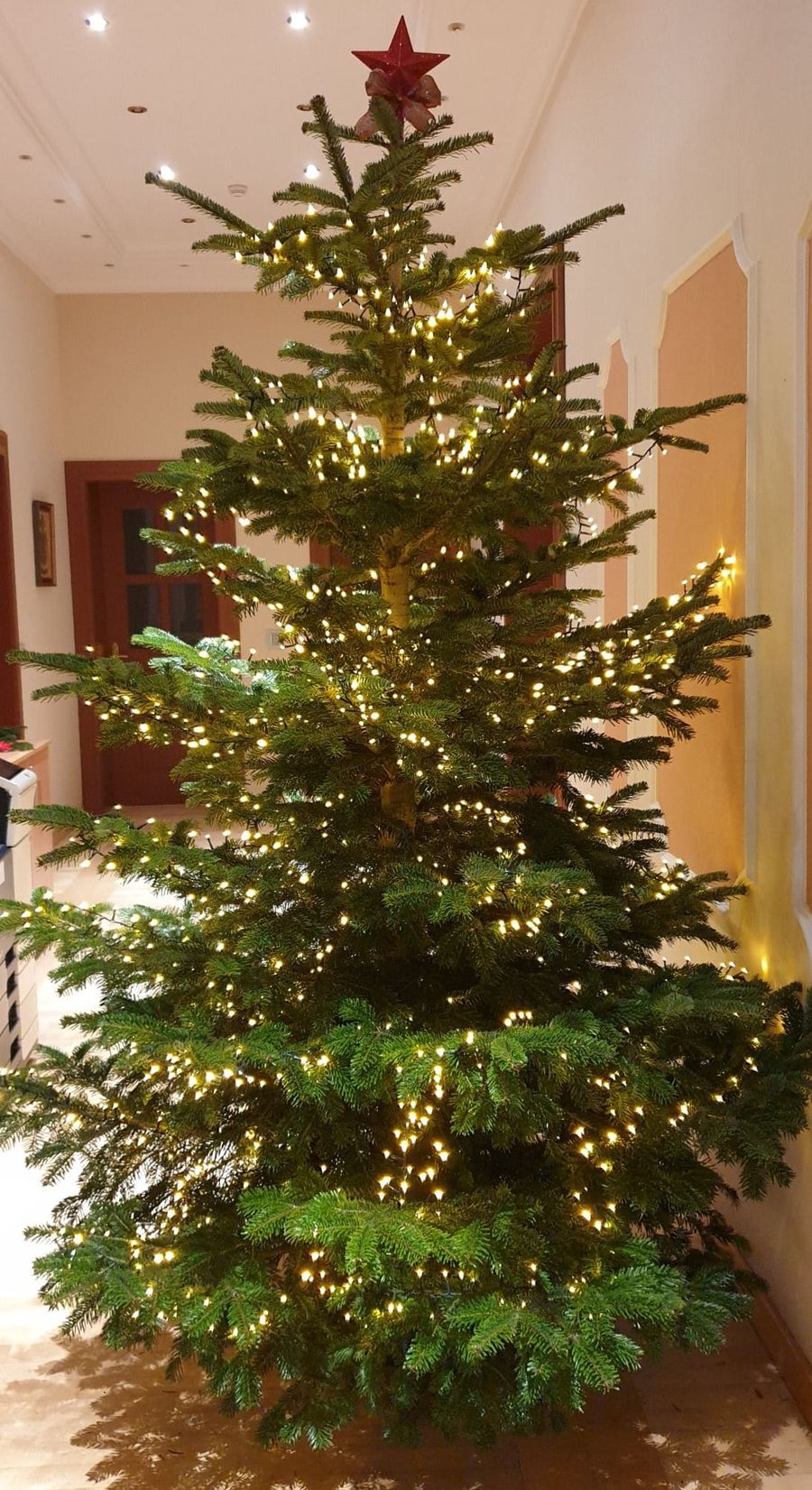Advent und Weihnachtsdekorationen  40