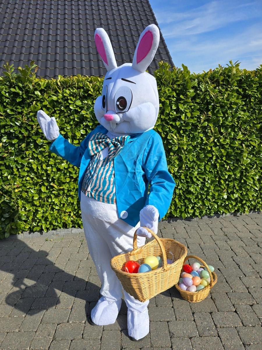 Maskottchen & Kostüme 32
