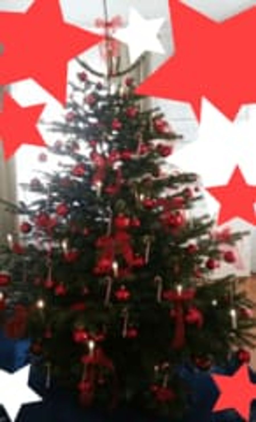 Advent und Weihnachtsdekorationen  12