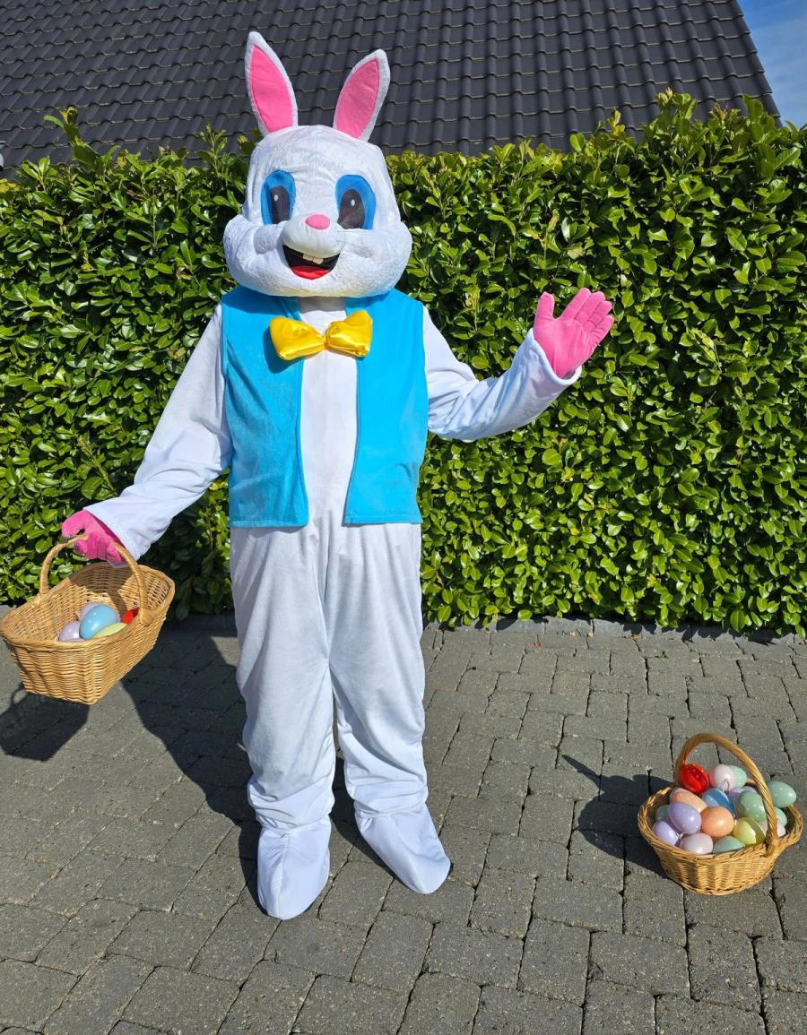 Maskottchen & Kostüme 31