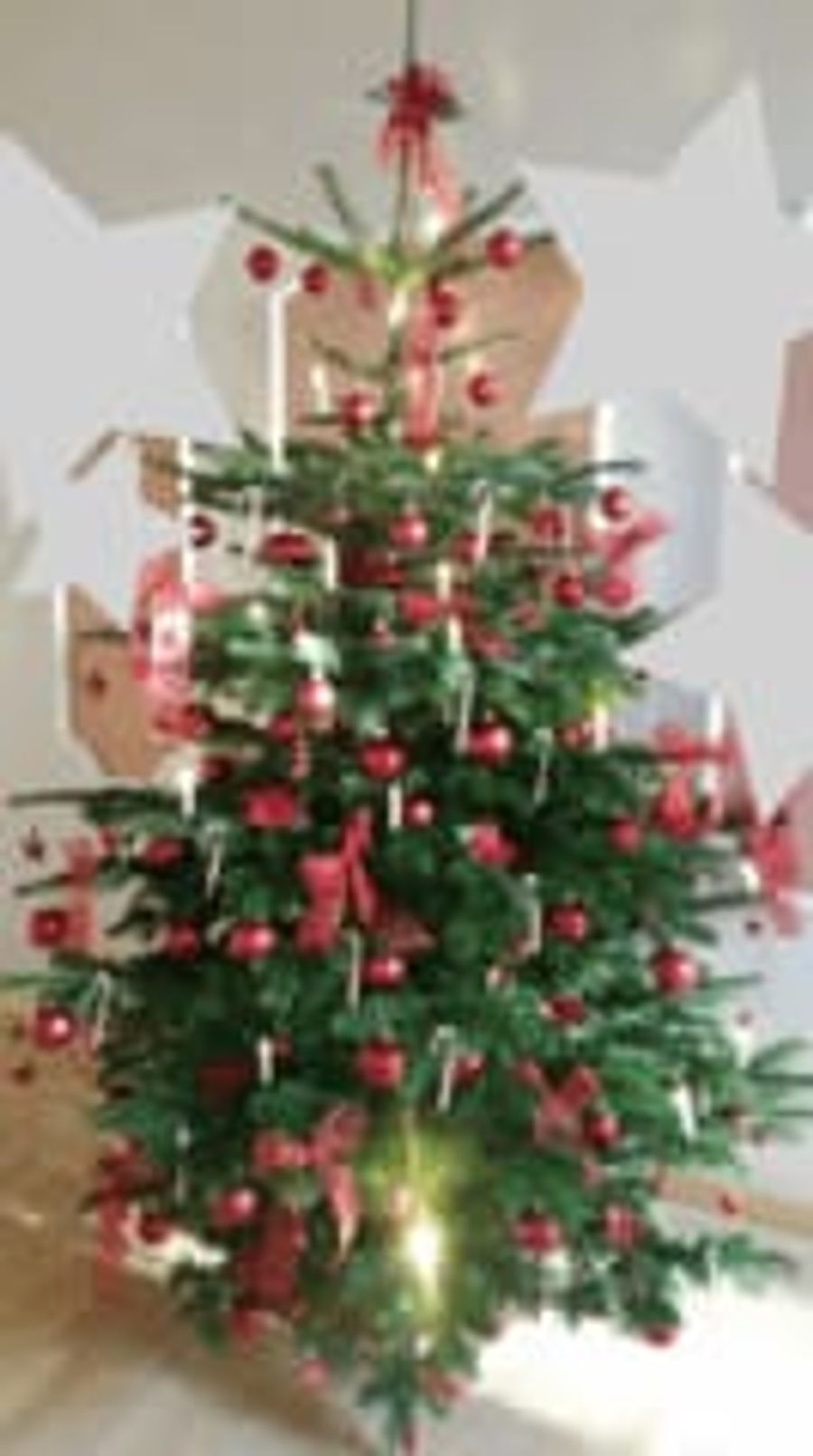 Advent und Weihnachtsdekorationen  10