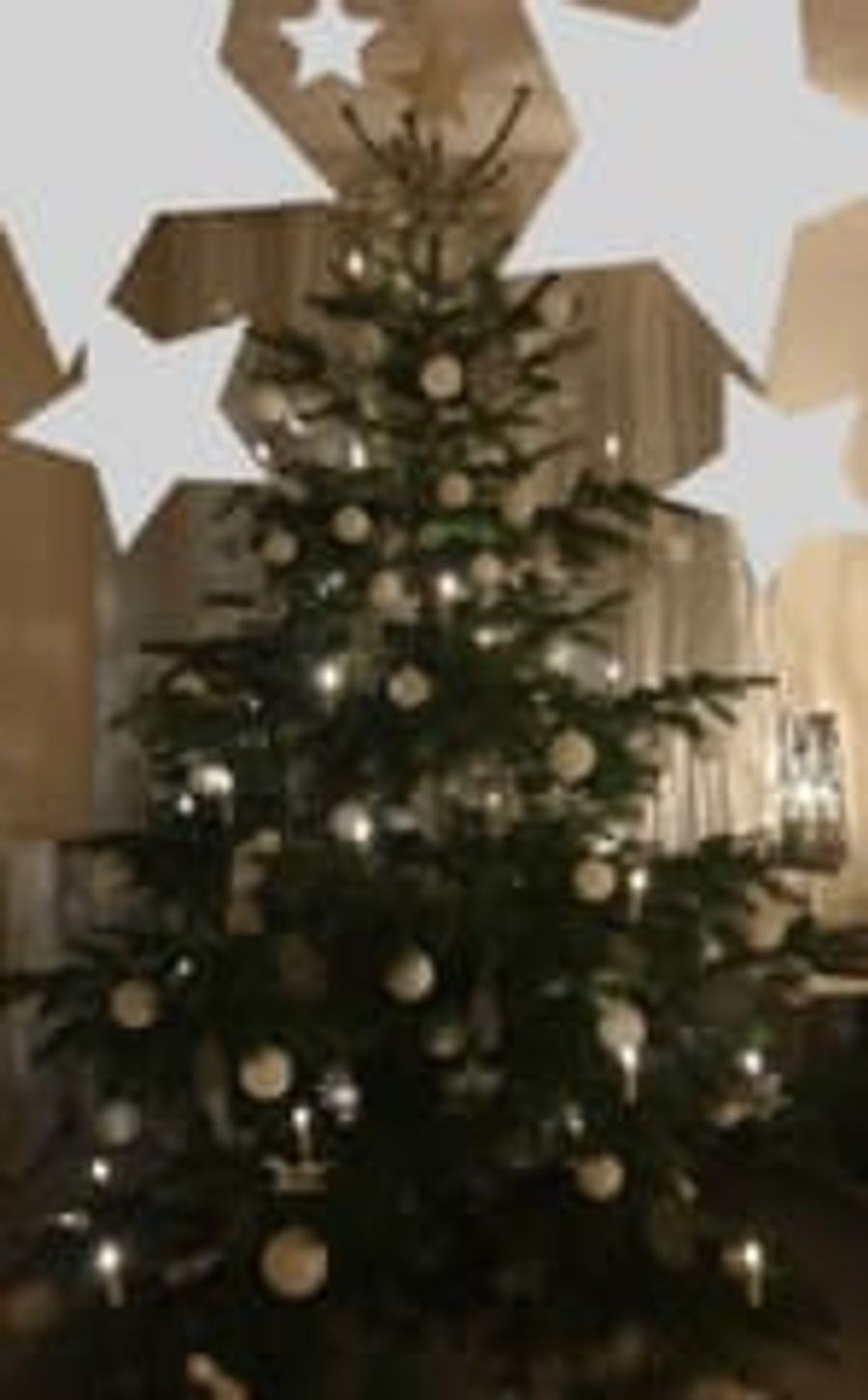 Advent und Weihnachtsdekorationen  11