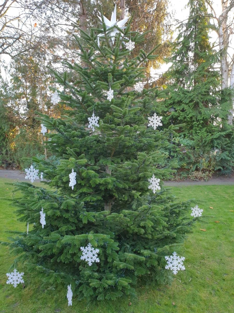 Advent und Weihnachtsdekorationen  32