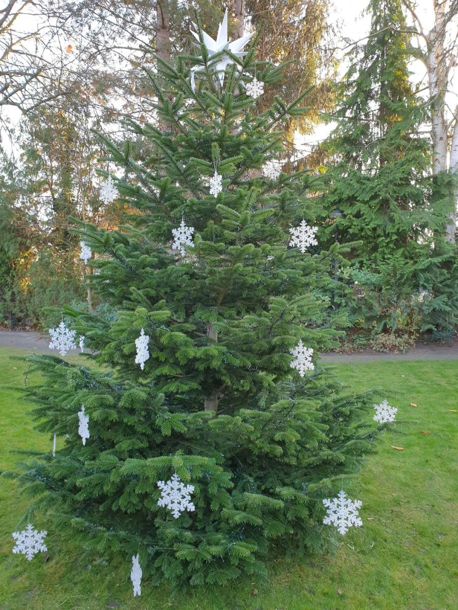 Advent und Weihnachtsdekorationen  50