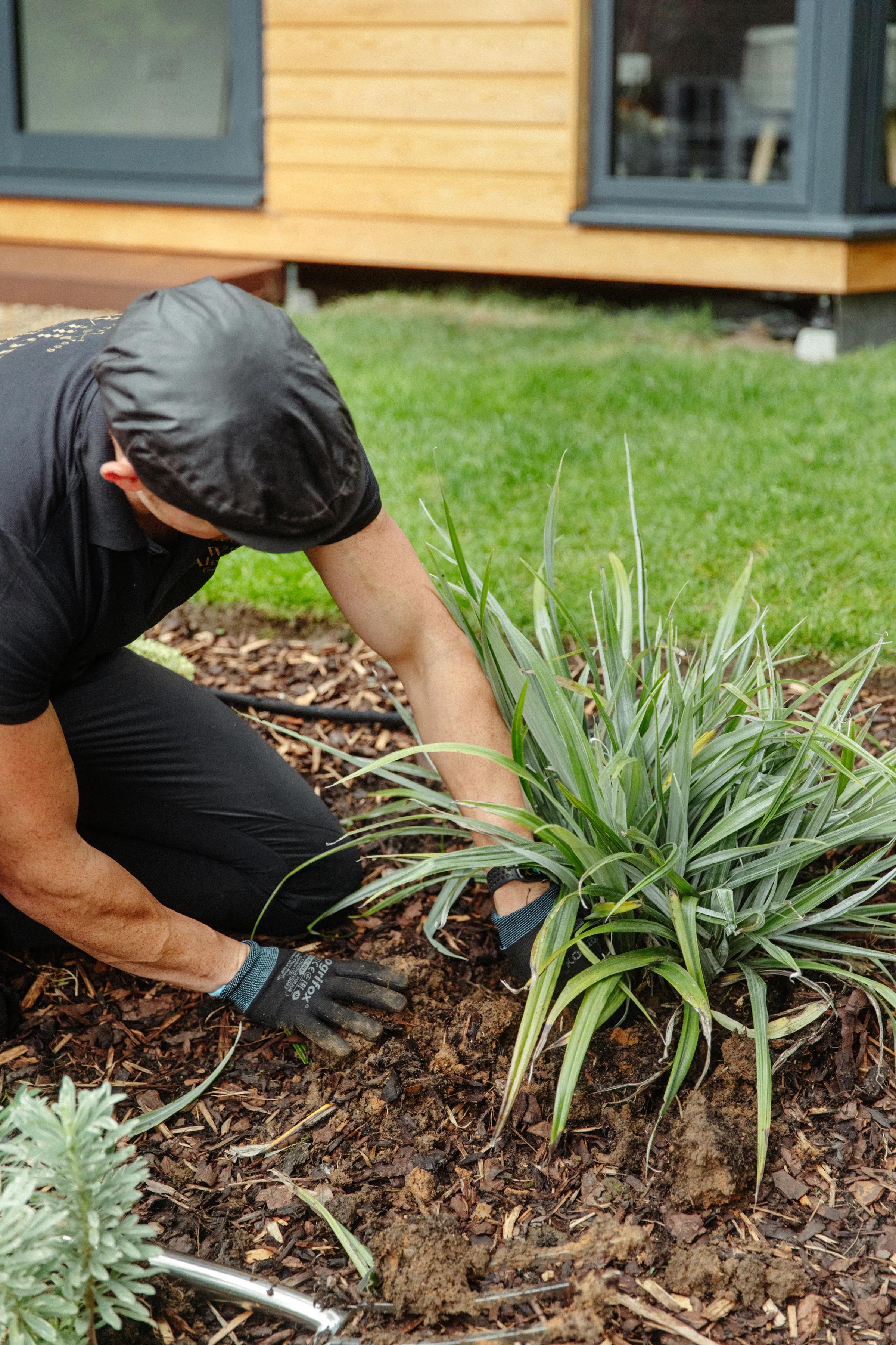 Planting gallery image 4