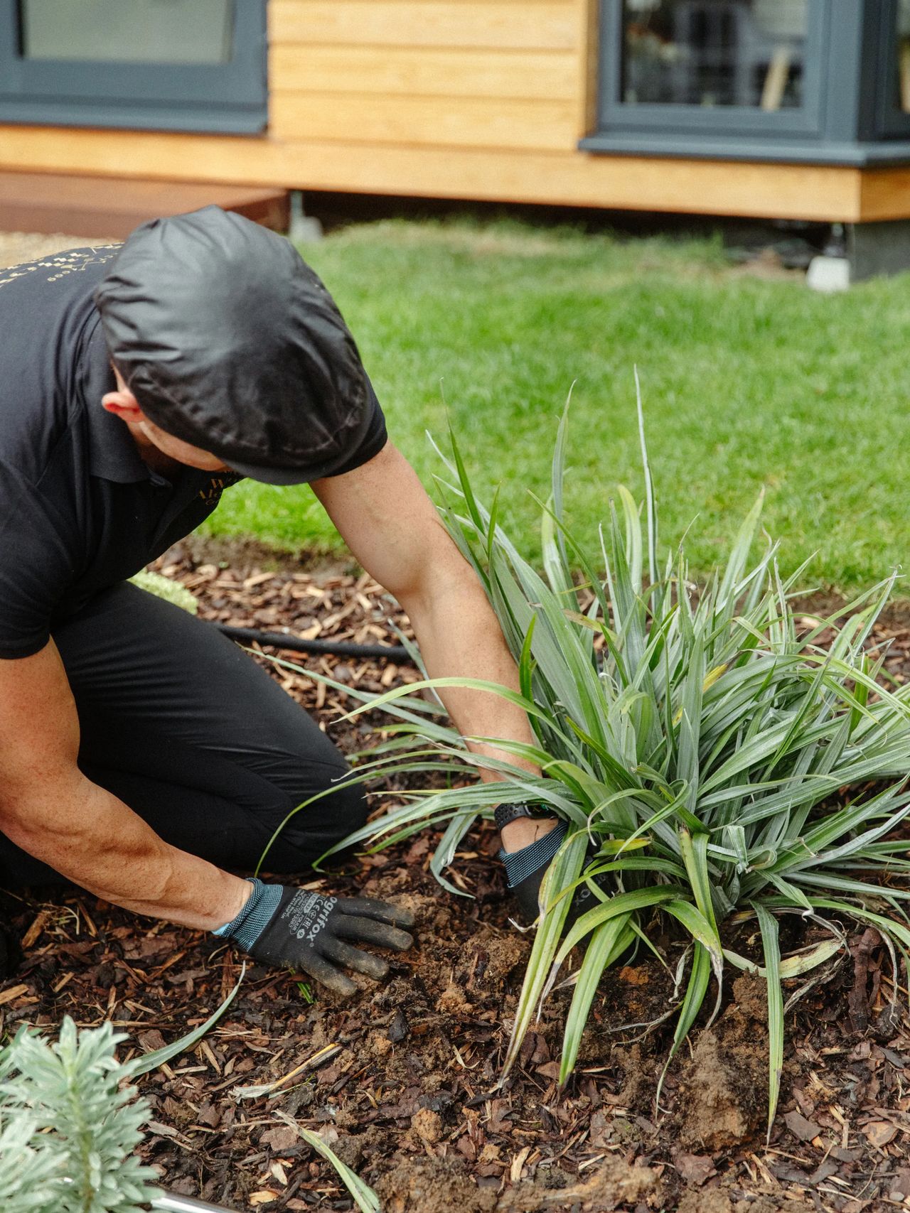 Planting gallery image 4