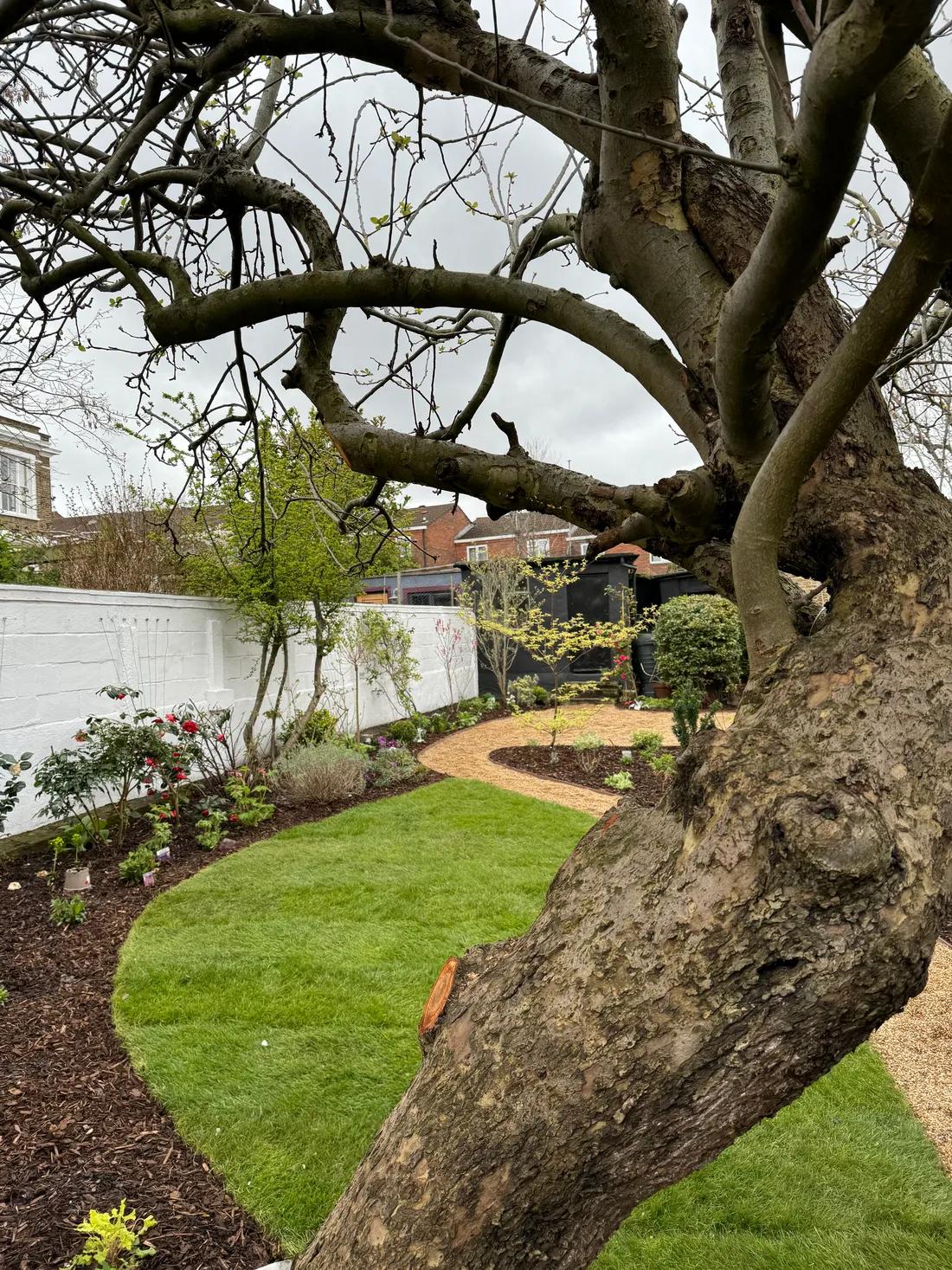 A garden we've restored