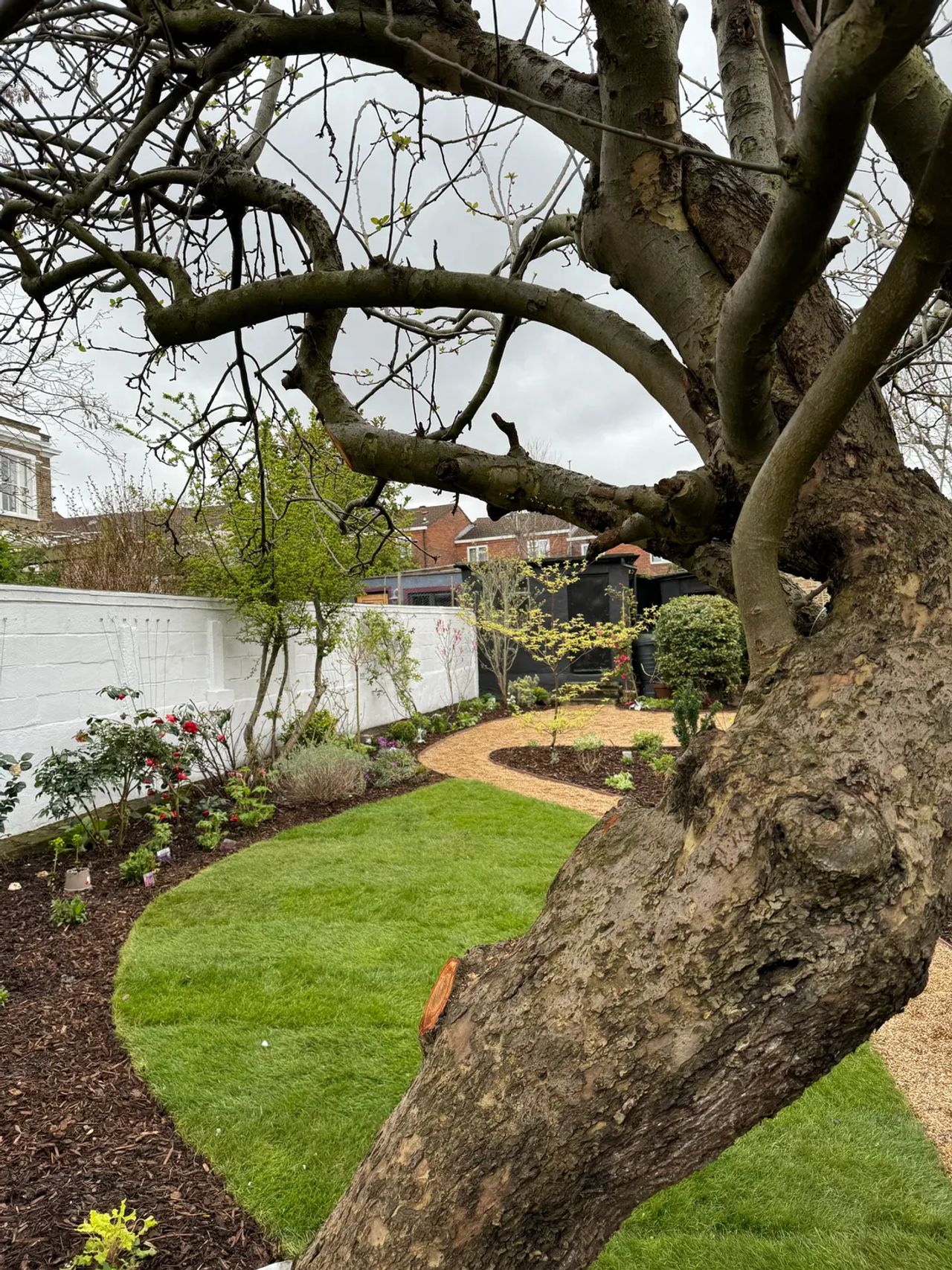 A garden we've restored
