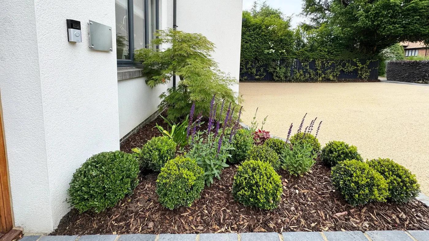 Front Garden