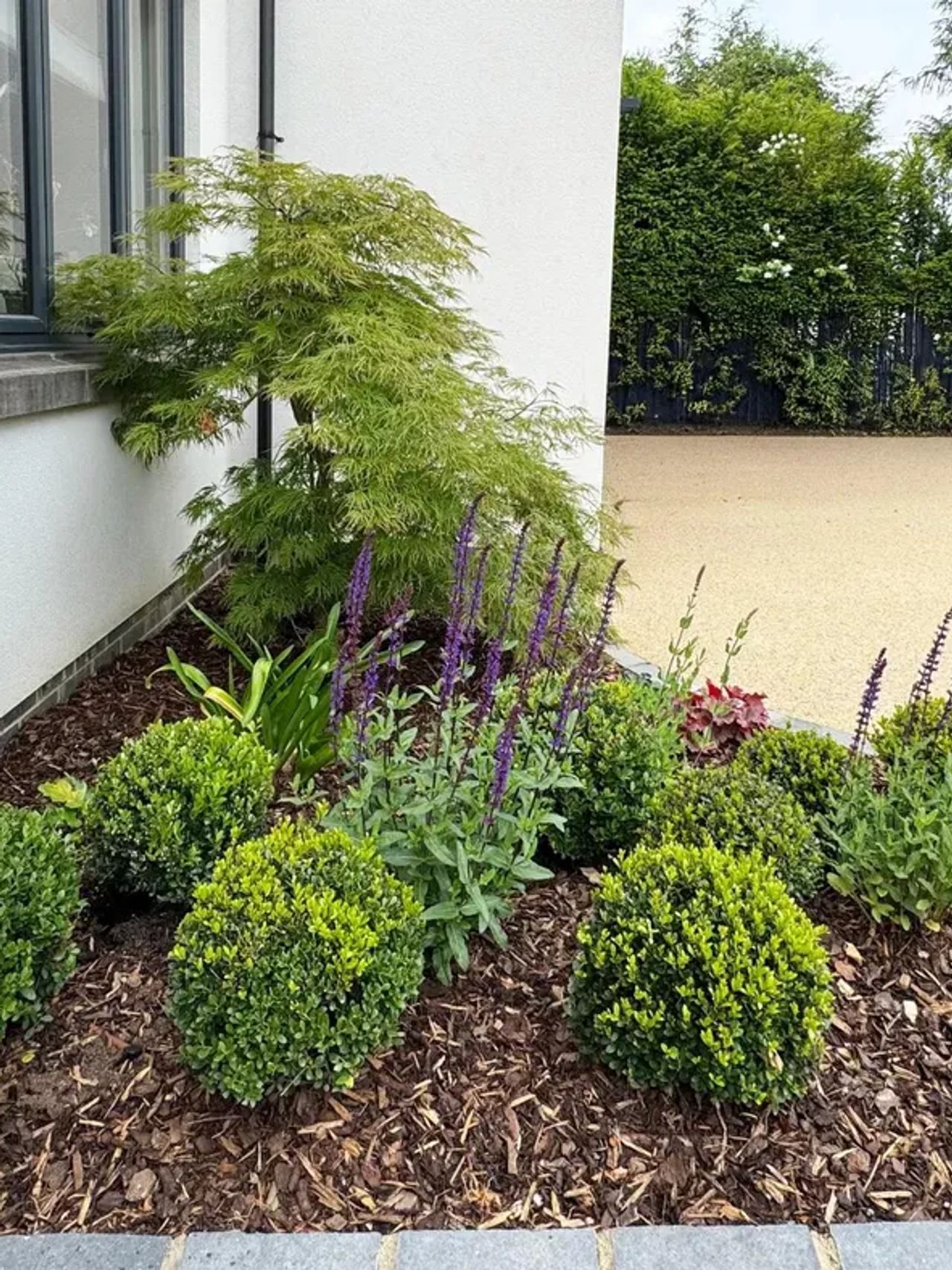 Front Garden